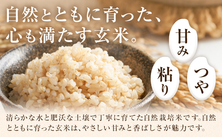 令和7年産 高野さんちの自然栽培米 玄米 10kg 《真空パック》 株式会社有機農場《30日以内に出荷予定(土日祝除く)》熊本県 菊池市 米 お米 ヒノヒカリ ひのひかり 自然栽培米 七城物語 熊本県産 真空パック