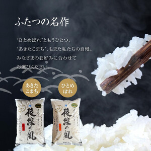 【信濃大町産】特別栽培米　稜線の風（ひとめぼれ） 10kg | ブランド 米 新米 長野 信州