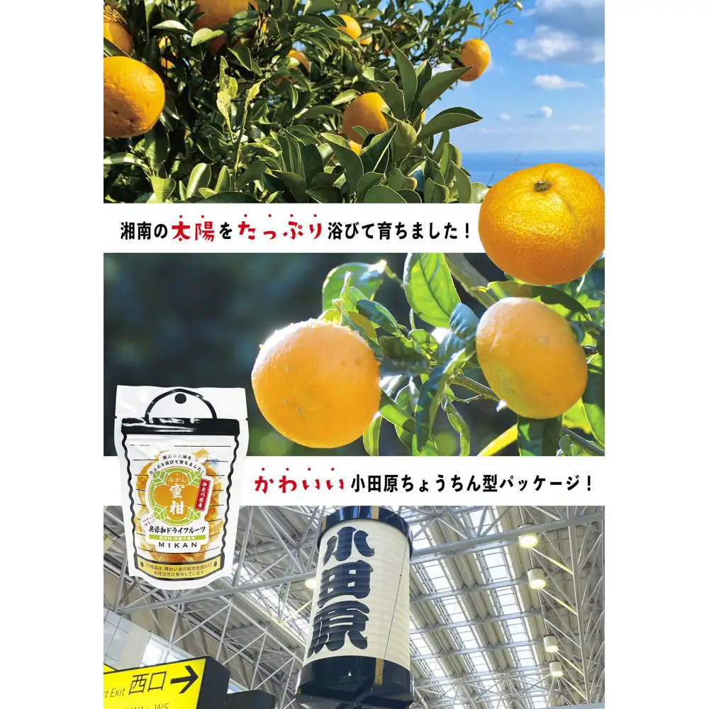 無添加ドライフルーツ(キウイ)16g×2袋入【 神奈川県小田原市 】