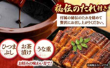訳あり うなぎ 蒲焼 3尾 [ADAH048] 鹿児島産 