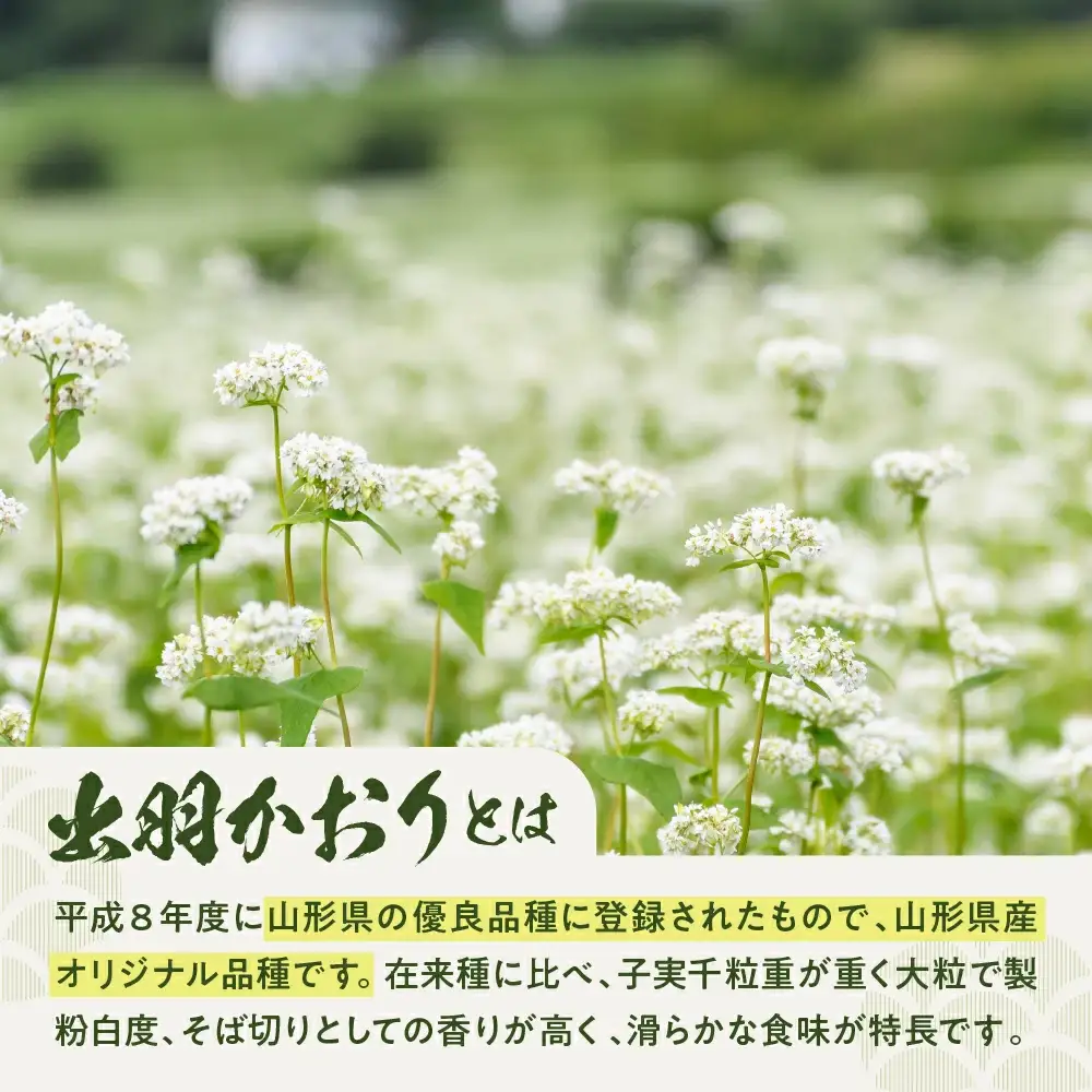 天童産 そば セット （ 生麺 ） 山形 蕎麦 詰合せ 08-01-050