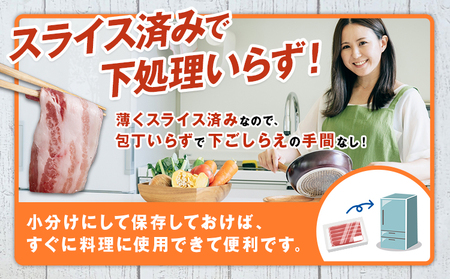 茨城県産 豚肩 ロース スライス 2kg 1パック 500g 株式会社セントラルフード 《60日以内に出荷予定(土日祝除く)》肉 豚肉 ロース 国産 スライス 生姜焼き 豚しゃぶ 肉じゃが 茨城県 結城市