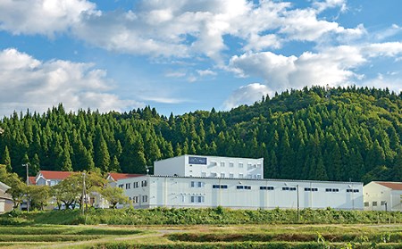 SP-09ロイヤルゴールドラベル洗える羽毛肌掛けふとん【シングル／ピンク系】（日本製）