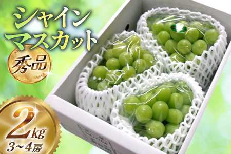 【期間限定発送】【2026年発送】 シャインマスカット 秀品 約2kg (約3～4房) [齋藤農園 山形県 高畠町 tk06bgt070000] 