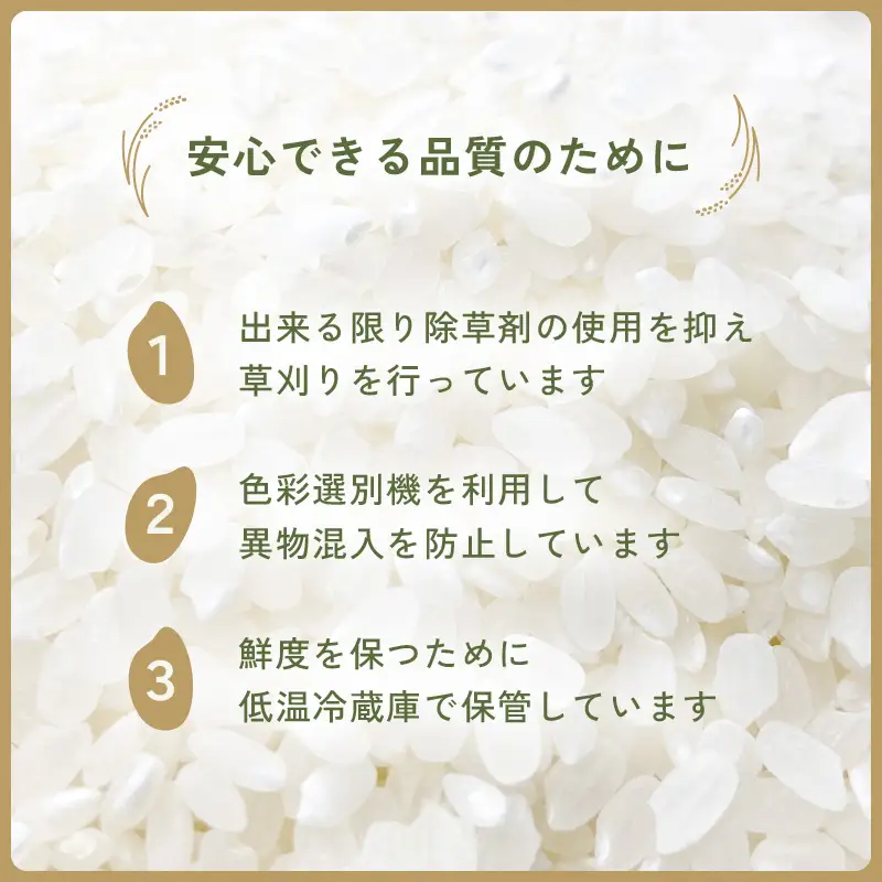 【令和7年産】お米 こしひかり 5kg（精米） 福井県産【人気品種】 [e47-a007]