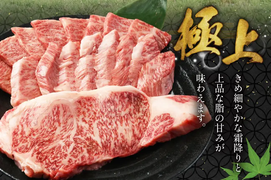 AJ465 長崎和牛 ロースステーキ バラ 焼肉 セット 500g [ 長崎県 島原市 ]