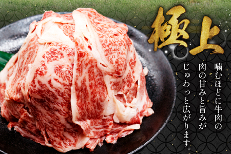 AJ469 長崎和牛 切り落とし 350g 2パック 計700g [ 長崎県 島原市 ]