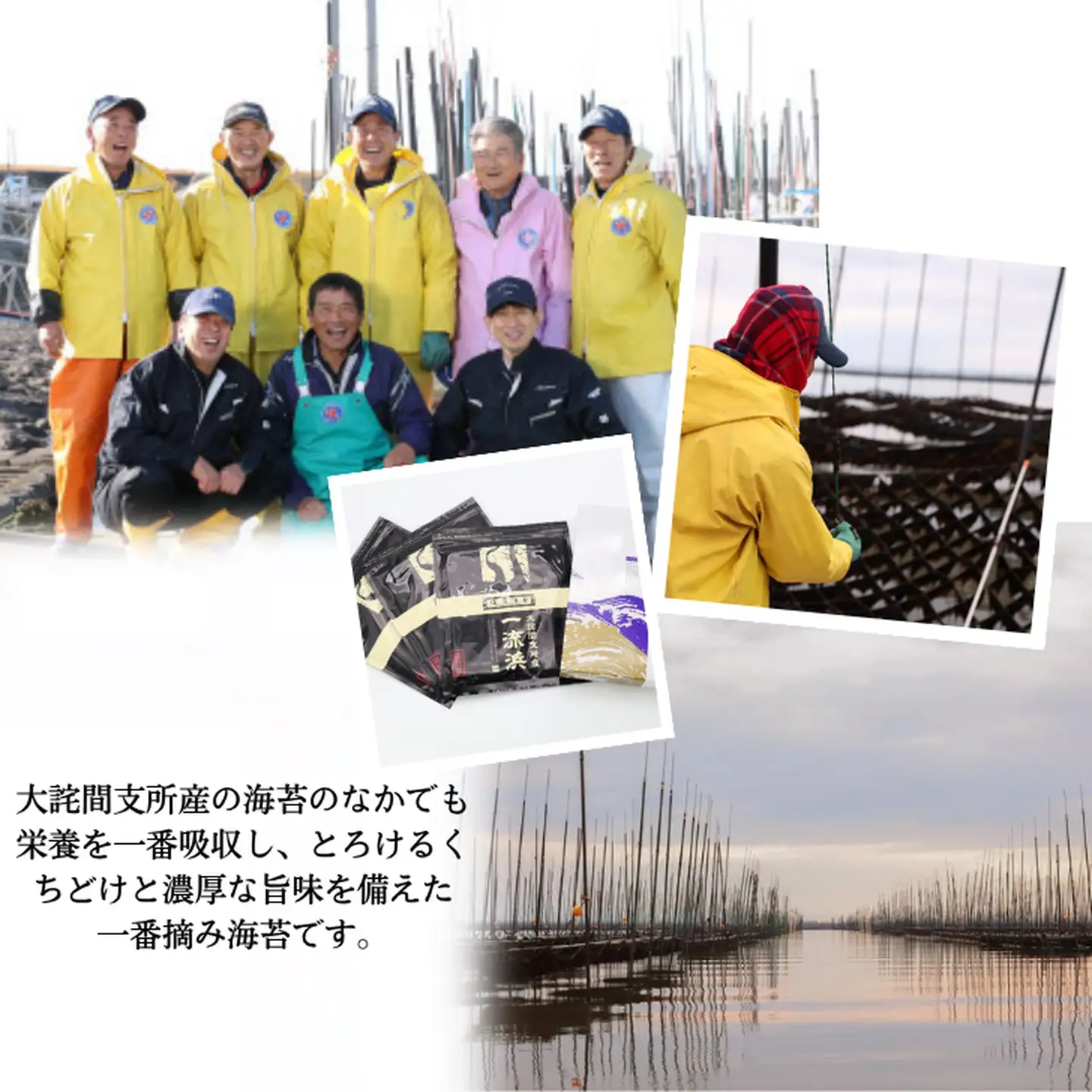 佐賀海苔 一流浜 一番摘み「選別品」全形8枚×3袋 化粧箱入り 焼き海苔 有明海苔 ：B135-021