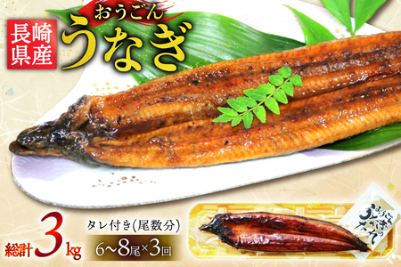 うなぎ 国産 蒲焼 長崎県産 おうごんうなぎ 松 セット 約1kg 6尾～8尾 3回 定期便 総計 約3kg [松永水産 長崎県 平戸市 hr42bgy400019]