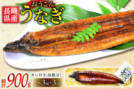 うなぎ 国産 蒲焼 長崎県産 おうごんうなぎ 約300g 2尾～3尾 3回 定期便 総計 約900g [松永水産 長崎県 平戸市 hr42bgy400032]