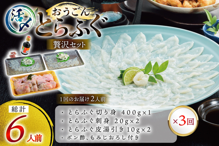 ふぐ 刺身 ふぐ鍋セット 活〆 おうごんとらふぐ 贅沢セット 2人前 3回 定期便 [松永水産 長崎県 平戸市 hr42bgy400072]