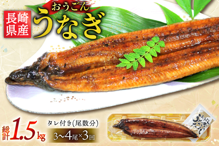 うなぎ 国産 蒲焼 長崎県産 おうごんうなぎ 約500g 3尾～4尾 3回 定期便 総計 約1.5kg [松永水産 長崎県 平戸市 hr42bgy400110]