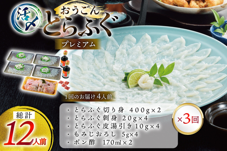 ふぐ 刺身 ふぐ鍋セット 活〆 おうごんとらふぐ プレミアム セット 4人前 3回 定期便 [松永水産 長崎県 平戸市 hr42bvj550019] ふぐ刺し とらふぐ フグ 河豚 てっさ てっちり ふぐ鍋 湯引き 魚介 さかな お刺身 刺身用 さしみ 冷凍 海鮮