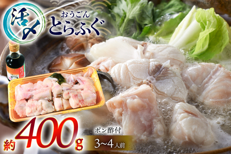 ふぐ 鍋 セット 活〆 おうごんとらふぐ 鍋セット 約400g [松永水産 長崎県 平戸市 hr42bvj550038] とらふぐ フグ 河豚 てっちり ふぐちり ふぐ料理 魚介 さかな 切り身 冷凍 海鮮 ふぐ鍋 唐揚げ ポン酢