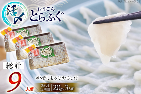 ふぐ 刺身 セット 活〆 おうごんとらふぐ 刺身セット 3人前 3回 定期便 [松永水産 長崎県 平戸市 hr42bvj550025] ふぐ刺し とらふぐ フグ 河豚 てっさ 魚介 さかな お刺身 刺身用 さしみ 冷凍 湯引き 海鮮 切り身