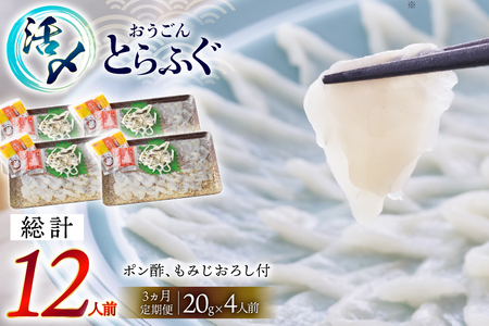 ふぐ 刺身 セット 活〆 おうごんとらふぐ 刺身セット 4人前 3回 定期便 [松永水産 長崎県 平戸市 hr42bgy400164]