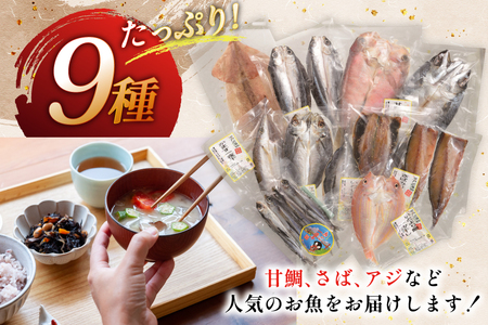 おつまみ イカ 旬魚 平戸 干物 9種 詰め合せ 定期便 3回 [森崎水産 長崎県 平戸市 hr42bgy410097]