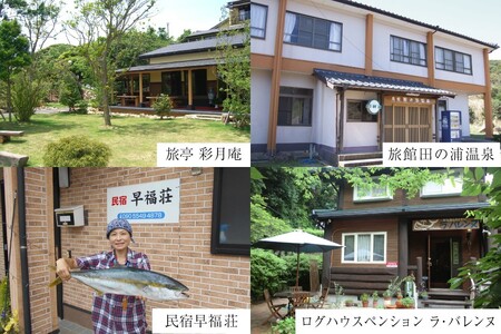 宿泊 クーポン 平戸 宿泊施設 で使える 割引券 6,000円分 [平戸観光交流センター 長崎県 平戸市 hr42bgy390024]