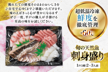 刺身 盛り合わせ 旬の天然魚の刺身盛り 5種 2～3人前 6回 定期便 総計12～18人前 詰め合わせ セット [囲炉裏料理エビス亭 長崎県 平戸市 hr42bgy390046]