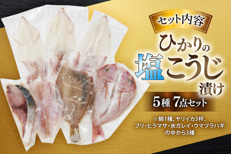 漬け魚 漬魚 塩麹 塩こうじ 魚介 詰め合わせ ひかりの塩麹 5種 セット [ひかり 長崎県 平戸市 hr42bgy420259]