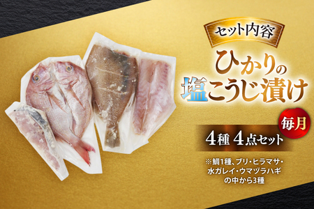 漬け魚 漬魚 塩麹 塩こうじ 魚介 詰め合わせ 6回 定期便 ひかりの塩麹 4種 セット [ひかり 長崎県 平戸市 hr42bgy420429]