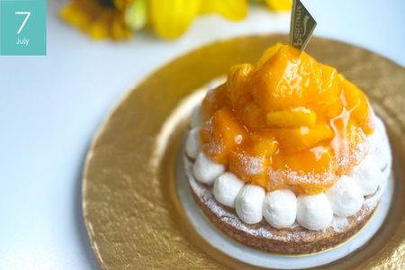 フルーツタルト 定期便 4回 総計4ホール [心優-Cotoyu Sweets- 長崎県 平戸市 hr42bjo490048]