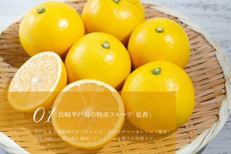 柑橘 スイーツ 夏香 チーズ タルト 1ホール 18cm [心優-Cotoyu Sweets- 長崎県 平戸市 hr42bjo490241]