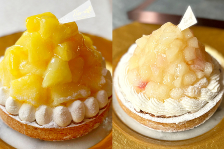 タルト フルーツタルト 定期便 6回 総計6ホール (全6種) [心優-Cotoyu Sweets- 長崎県 平戸市 hr42bjo490215]