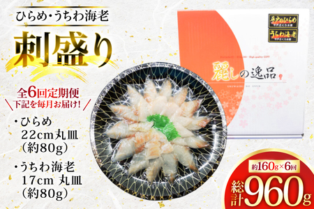 ひらめ 海老 刺盛セット ひらめ うちわ海老 刺盛セット 約160g×6回 計960g 【全6回定期便】 [平戸さくら水産 長崎県 平戸市 hr42bgy420169]