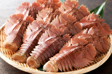 魚 まぐろ ひらめ えび イカ 平戸逸品 四季の彩り海物語 6回 定期便 [平戸さくら水産 長崎県 平戸市 hr42bgy420405]