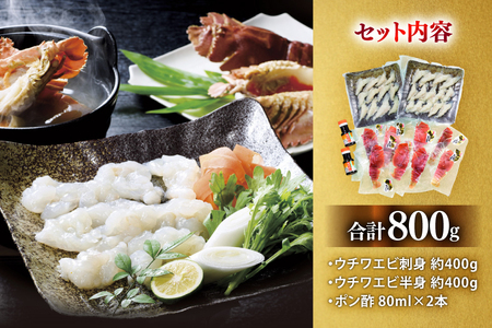うちわえび エビ 海老 刺身 しゃぶしゃぶ 海鮮 ウチワエビ刺身 約400g・ウチワエビ半身 約400g セット 総計800g [ひばり 長崎県 平戸市 hr42bgy420044]