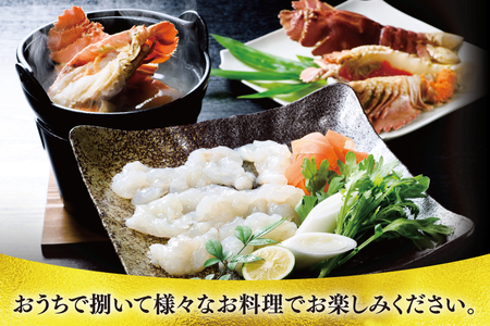 うちわえび エビ 海老 海鮮 冷凍 小分け ウチワエビ半身 約800g 10～14切 [ひばり 長崎県 平戸市 hr42bgy420048]