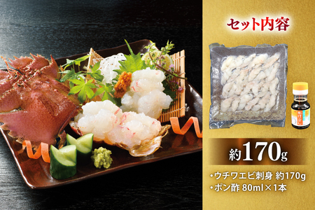 うちわえび エビ 海老 国産 刺し身 冷凍 ウチワエビ 刺身 約170g (ポン酢付) [ひばり 長崎県 平戸市 hr42bgy420060]