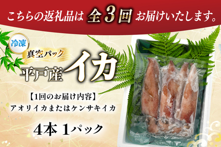 海鮮 魚介 イカ 4杯 1パック（冷凍） 3回 定期便 [舘浦漁協 長崎県 平戸市 hr42bgy420358]