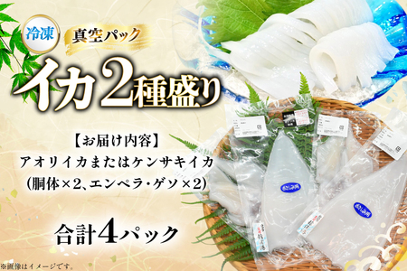 海鮮 魚介 イカ 2種盛り（胴体＋ エンペラ ・ ゲソ ） [舘浦漁協 長崎県 平戸市 hr42bgy420381]