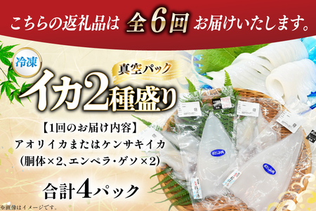 海鮮 魚介 イカ 2種盛り（胴体＋ エンペラ ・ ゲソ ） 6回 定期便 [舘浦漁協 長崎県 平戸市 hr42bgy420383]
