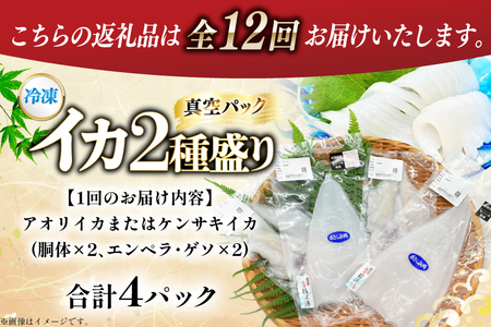 海鮮 魚介 イカ 2種盛り（胴体＋ エンペラ ・ ゲソ ） 12回 定期便 [舘浦漁協 長崎県 平戸市 hr42bgy420384]