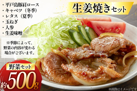 豚肉 生姜焼き 平戸島豚の 生姜焼きセット 約 500g 安心の地元 野菜付 [ひらど新鮮市場 長崎県 平戸市 hr42bgy400178]