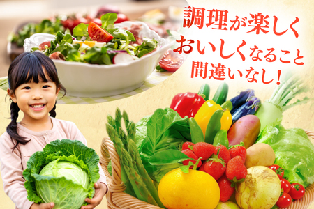野菜 果物 ソムリエ厳選 地元野菜 果物 3回 定期便 [ひらど新鮮市場 長崎県 平戸市 hr42bgy400197]