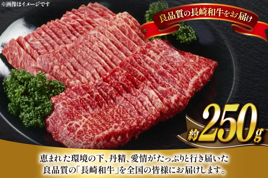 牛肉 長崎和牛 焼肉 約250g [萩原食肉産業 長崎県 平戸市 hr42bgy410247]