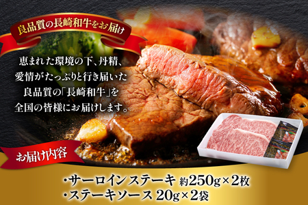 和牛 ステーキ サーロイン 250g ソース付き 2枚 [萩原食肉産業 長崎県 平戸市 hr42bgy410040]