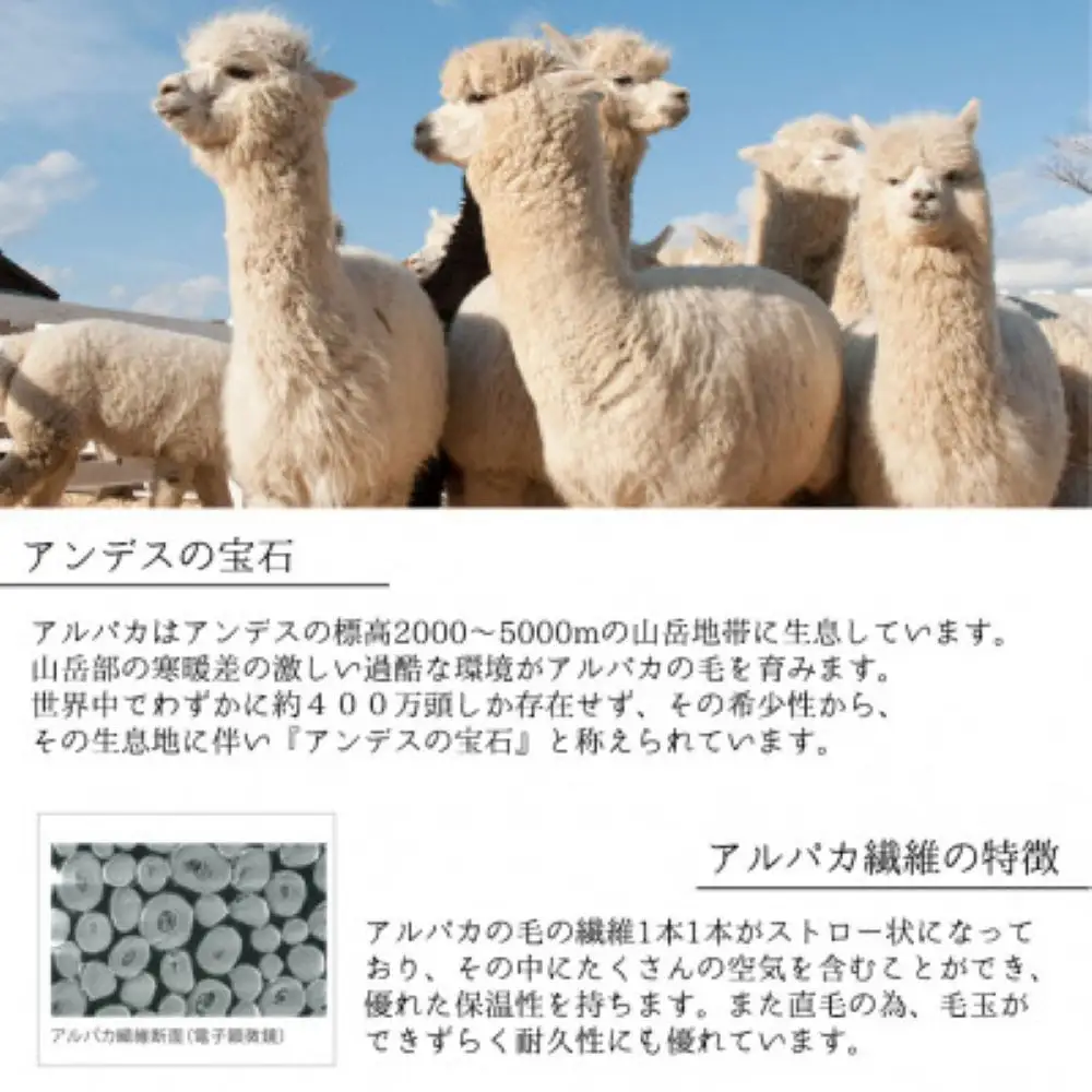 アルパカ毛布 シングルサイズ 140×200cm アイボリー