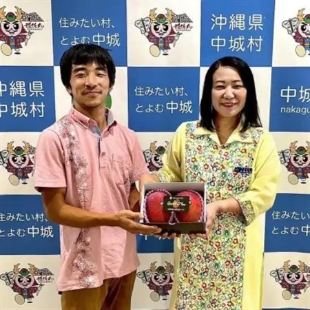 【2026年6月下旬から順次発送】マルトウマンゴーの家庭用アップルマンゴー2kg【配送不可地域：離島】【1670257】