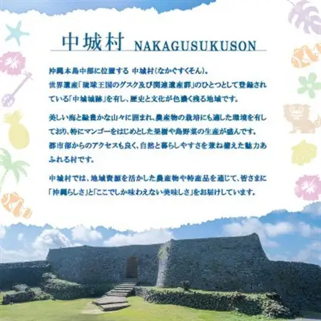 【2026年6月より順次発送】中城村産の天然太もずく 1.5kg(500g×3P)【配送不可地域：離島】【1670554】