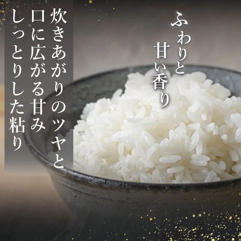 こしひかり  5kg 令和7年度産 精米 福島県新地町産