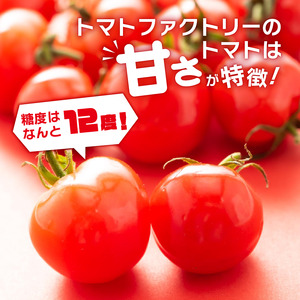 【期間限定】 トマトファクトリー 野菜 詰め合わせ セット トマト きゅうり 2kg 箱入り とまと キュウリ 野菜 やさい 野菜セット 新鮮 採れたて 季節 甘い 糖度 高糖度 あまい 食材 旬 栽培 産地直送 農家直送 農家応援 滋賀県 日野町 ふるさと納税 送料無料