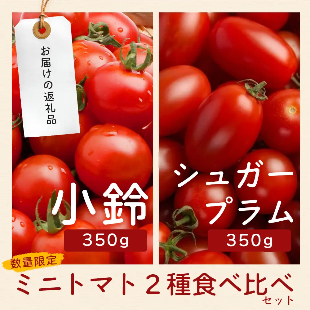 [数量限定]ミニトマト２種食べ比べセット(350g×２種) GP-3｜ミニトマト 野菜 やさい 食品 人気 おすすめ 美味しい 産地直送 小鈴 シュガープラム 食べ比べ セット