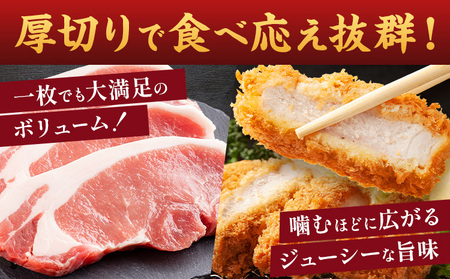 茨城県産 豚肉 ロース スライス 厚切り 1kg  1パック 500g 株式会社セントラルフード 《30日以内に出荷予定(土日祝を除く)》肉 豚肉 ロース 国産 スライス ポークソテー とんかつ トンテキ 茨城県 結城市