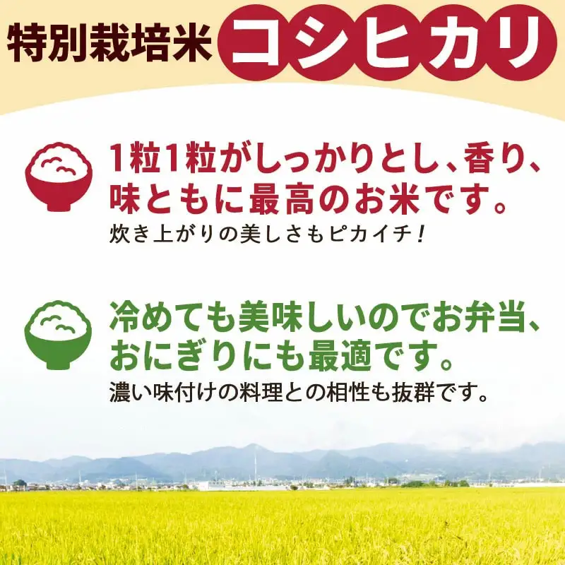 つや姫 ・ コシヒカリ ・ はえぬき セット 15kg [ 令和7年産 ] 米 精米 山形 08-30-043