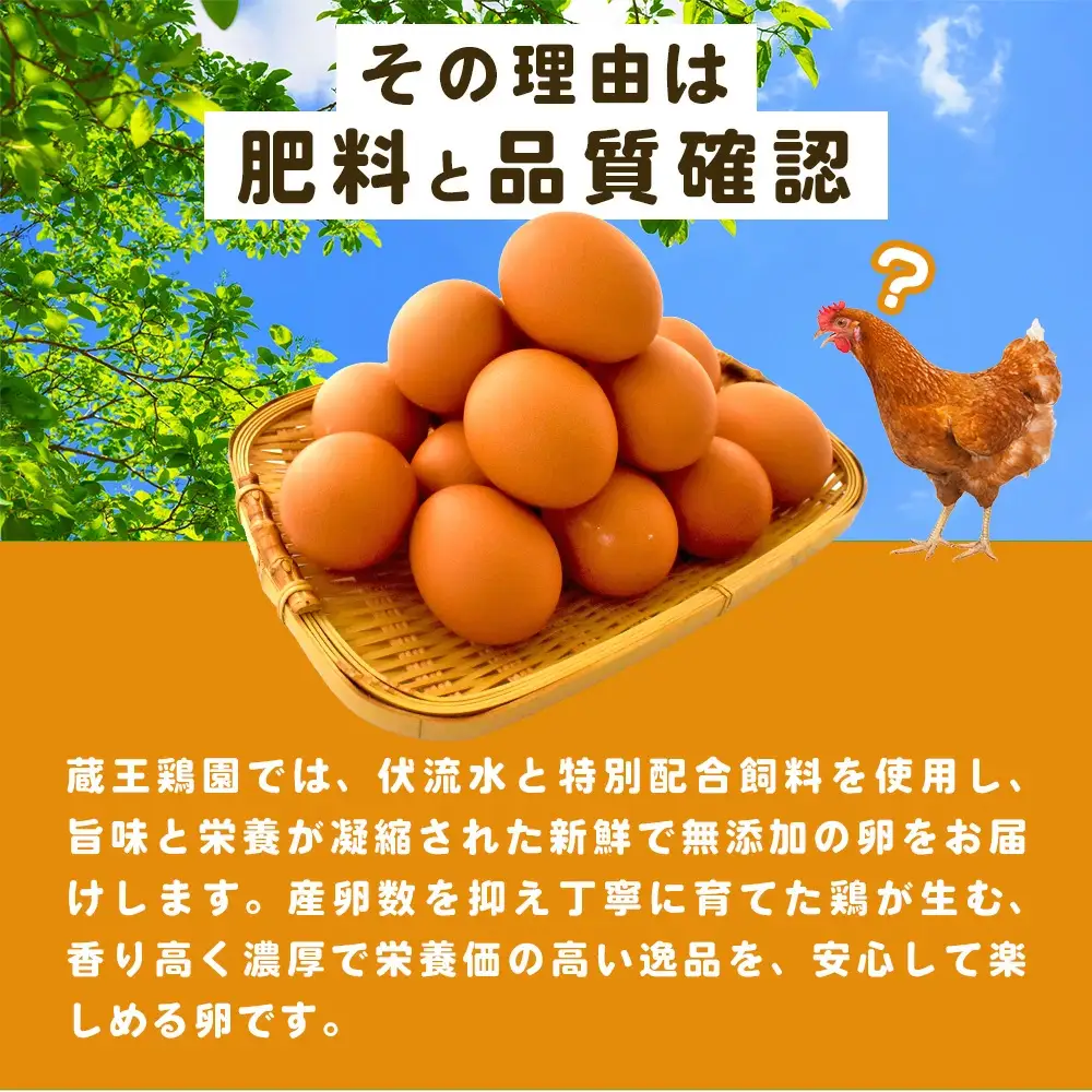 眠れる森のたまごとたまごたっぷりプリンのセット　【04301-0873】